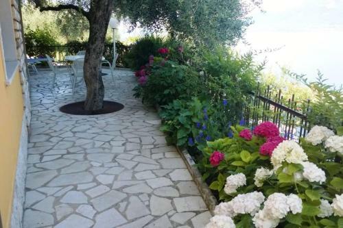 Apartament 59