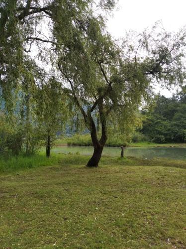Apartamento Tra La Stazione E Il Lago
