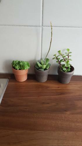 Apartamento Eliya's Place