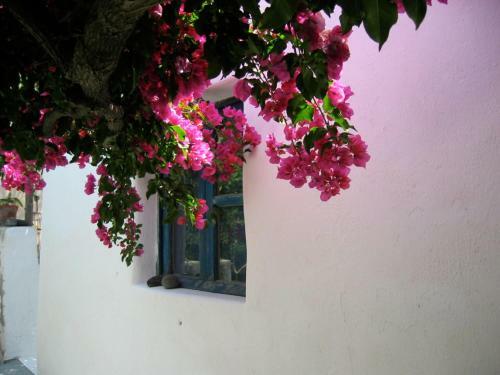 Villa La Porta Rossa