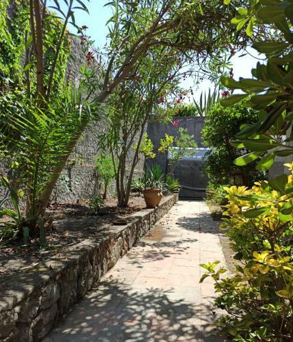 Casa Volcanalia