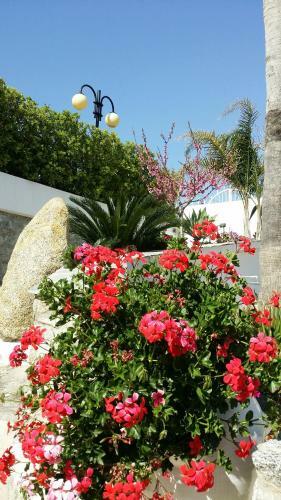 Apartamento Villa Anna Maria