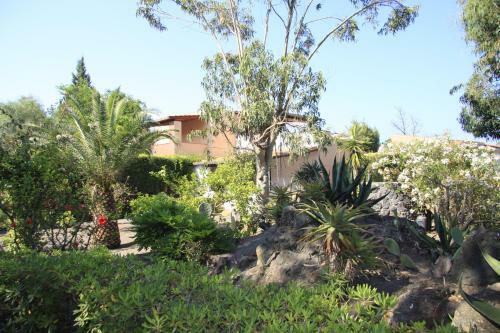 Apartamento Vulcano Blu Residence