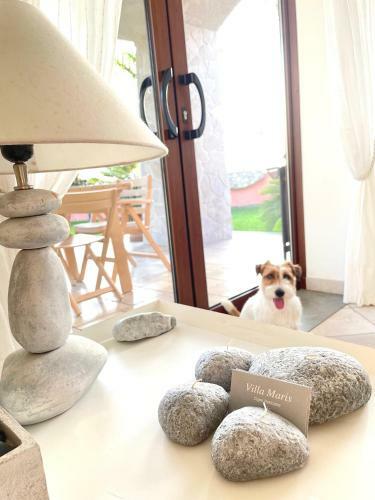 Apartamento Villa Maris Capo Vaticano