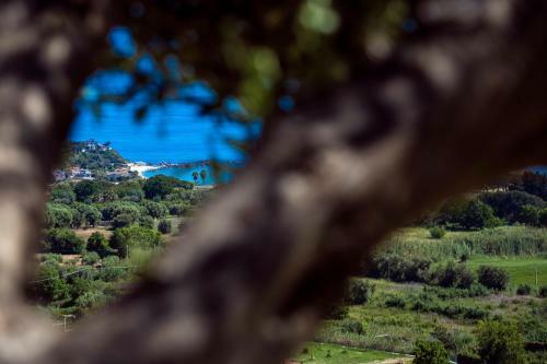 Hostal The Olive Tree - Seaview Apartment