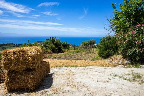 Hostal The Olive Tree - Seaview Apartment