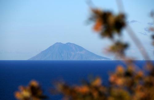 Hostal The Olive Tree - Seaview Apartment