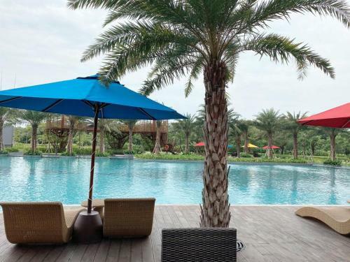 Cozy Stay @ Gold Coast Pik Sea View Apartment