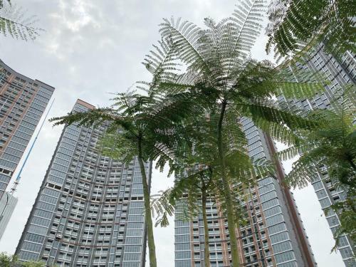 Cozy Stay @ Gold Coast Pik Sea View Apartment