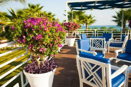 Ninfa Sul Mare Apartments