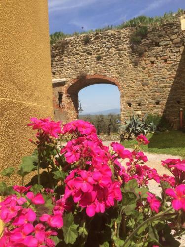 Apartamento Mansarda Degli Ulivi