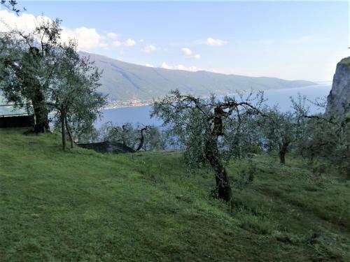 Casetta Delle Olive