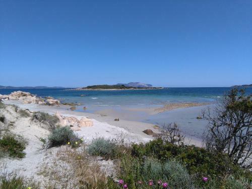 Apartamento Residenza Le Maree