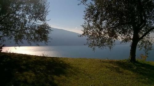 Apartamento Casa Navla'