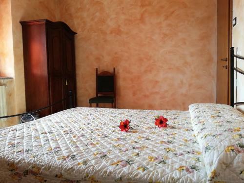 B&B Pivi