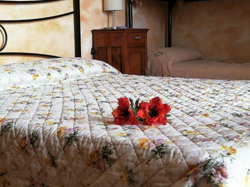 B&B Pivi