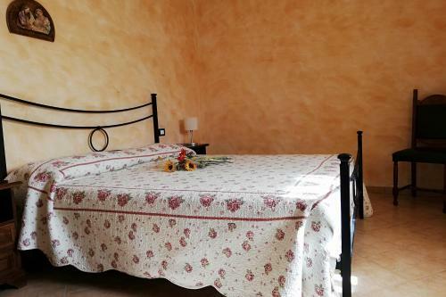 B&B Pivi
