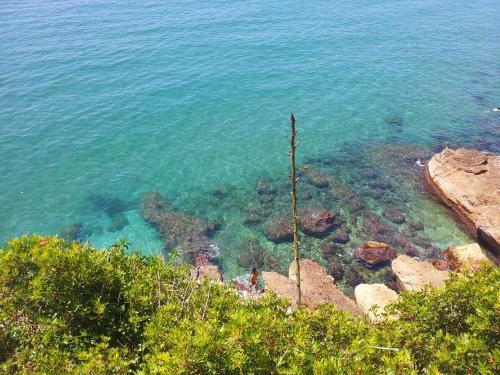 Apartamento Gaviota Y Vora Mar