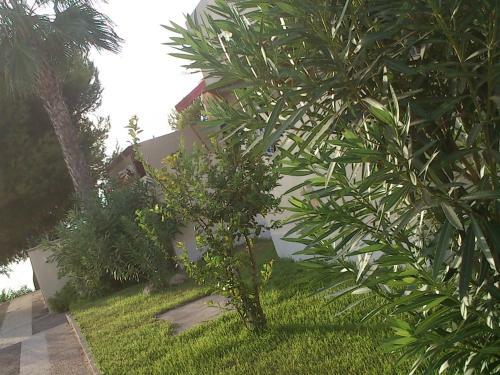 Apartamento Optimist