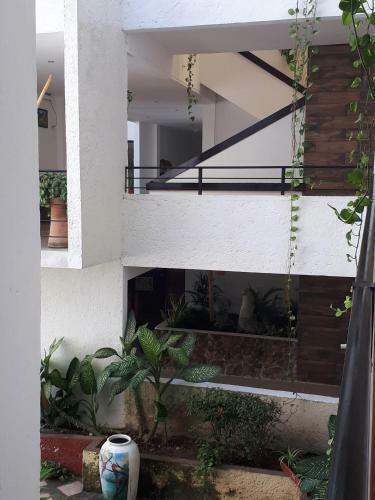 Hotel Quinta Exxpres