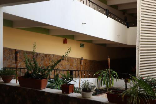 Hotel Quinta Exxpres