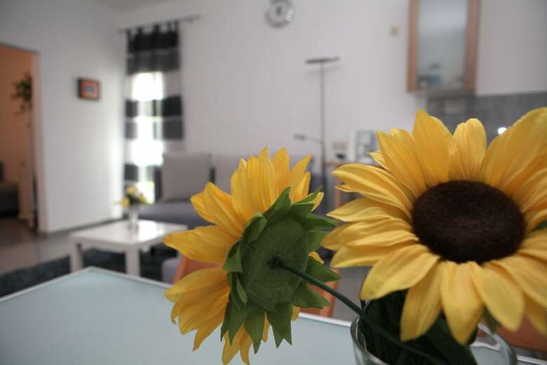 Apartamento White House Bochum Ehrenfeld