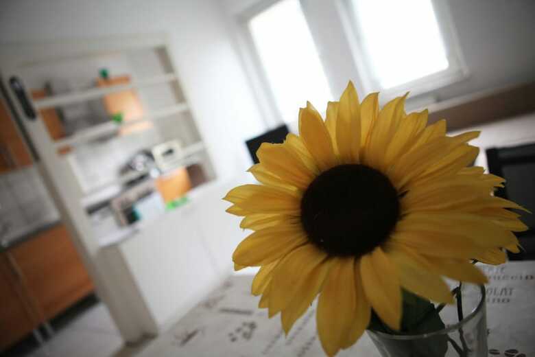 Apartamento White House Bochum Ehrenfeld