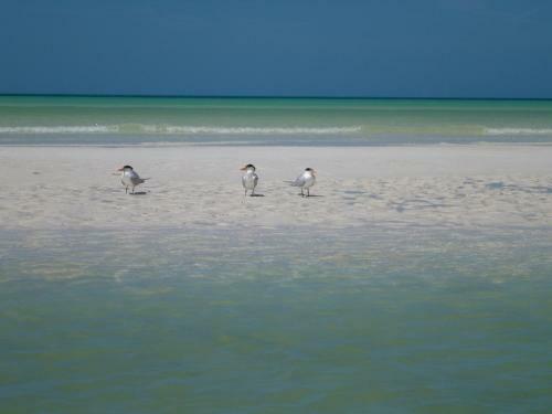 Apartamento Zama Tulum