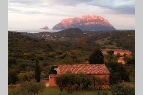 Mare E Campagna