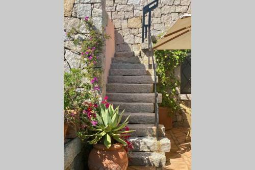 Living Smeralda, 360� Panoramic View