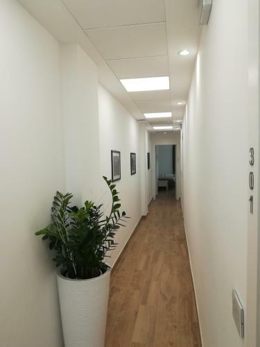 Hotel Flora