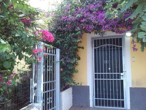 B&B "la Bouganville 1"