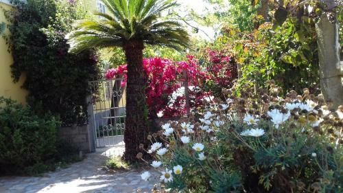 B&B "la Bouganville 1"
