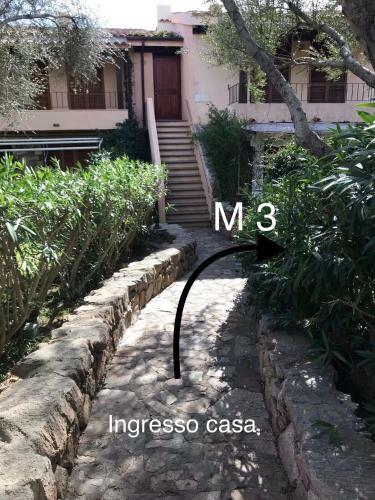 Ladunia 3m - Giardino