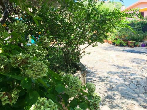 Apartamento Mare Turchese