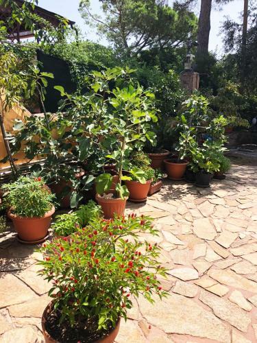 Apartamento Mare Turchese