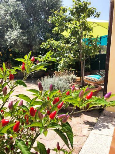 Apartamento Mare Turchese