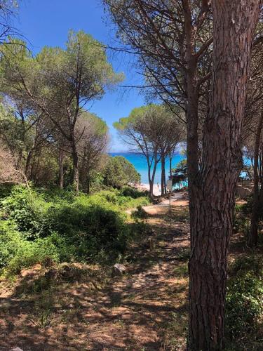 Apartamento Mare Turchese