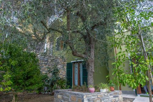 Apartamento Appartamenti Arco Antico