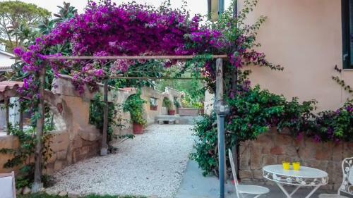 B&B Giglio Di Mare