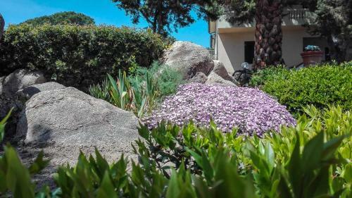 B&B Giglio Di Mare