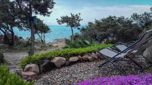 B&B Giglio Di Mare