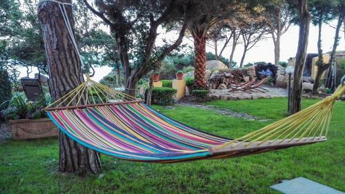B&B Giglio Di Mare