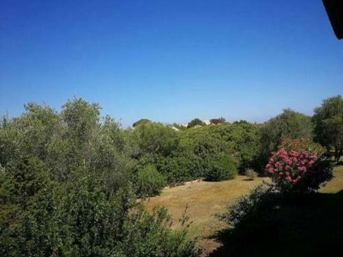 Apartamento La Terrazza Di Punta Marana