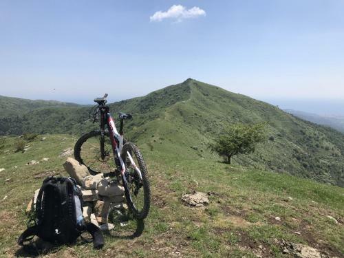Apartamento Il Tulipano