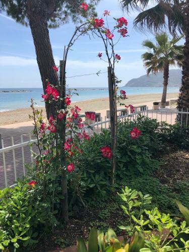 Piccolo Hotel Le Palme