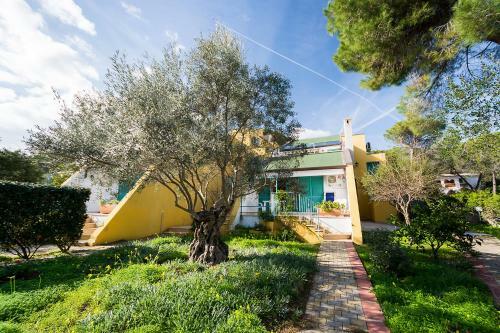 Villa Alba - Appartamenti A 75 M Dal Mare