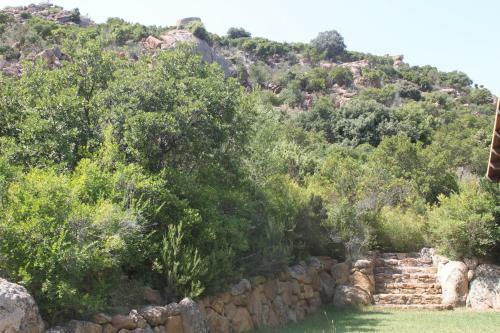 Villa Vera