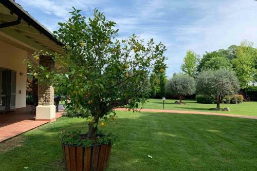 Villa Paradiso Nel Verde