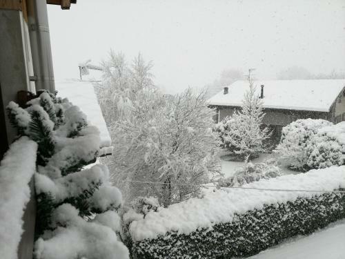 Chez Emar